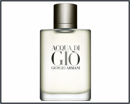 Giorgio Armani : Acqua di Gio type (M)