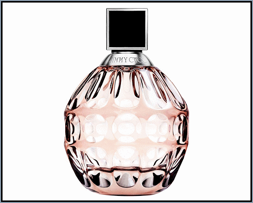 Jimmy Choo : Jimmy Choo type (W)